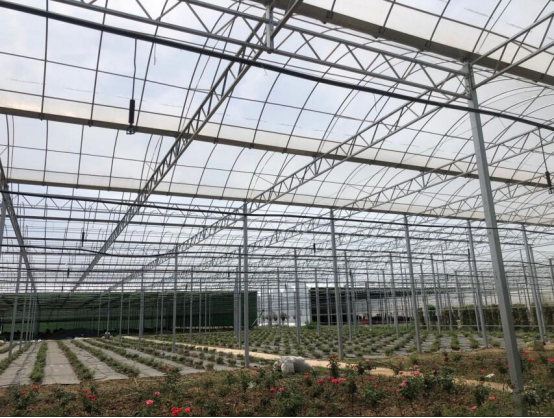 建设温室大棚的技巧你知道哪些呢？