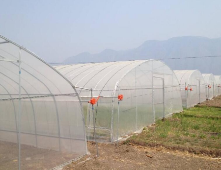 详解西安塑料大棚灌溉的优点