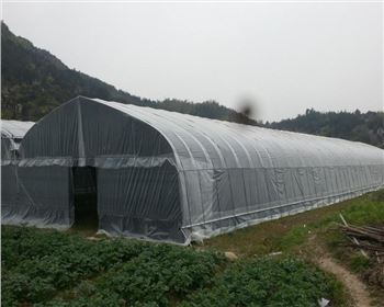 陕西单体大棚
