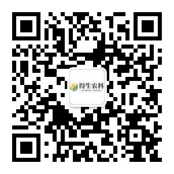 公众号